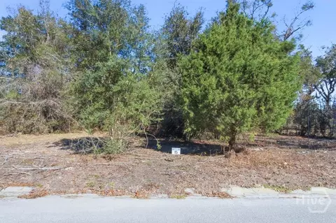Undisclosed, Midway, GA 31320 photo 3