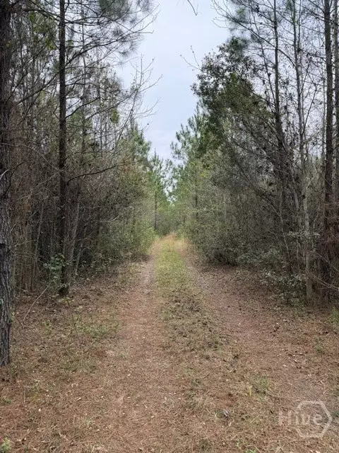 001 Race Path, Rincon, GA 31326
