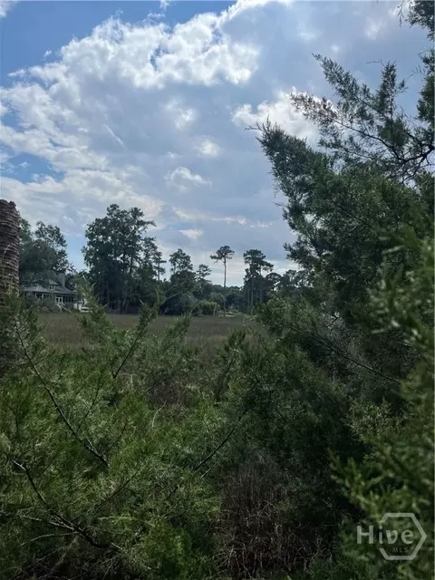 0 Perry Cv, Savannah, GA 31410