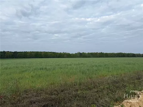 01 Springfield Egypt Rd, Springfield, GA 31329