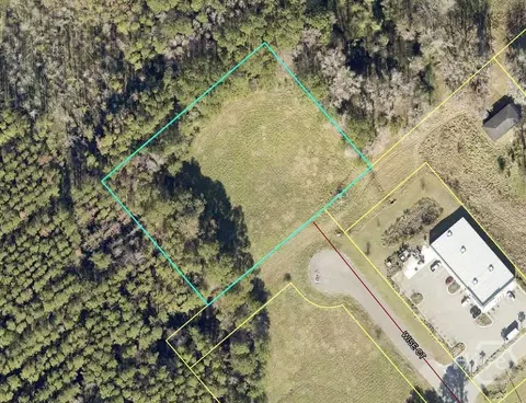 50 Wise Ct, Richmond Hill, GA 31324