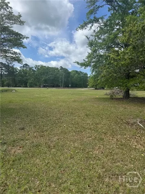 0 Mccall Rd, Rincon, GA 31326 photo 6