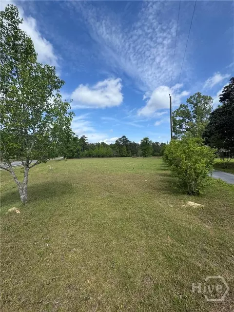 0 Mccall Rd, Rincon, GA 31326 photo 5