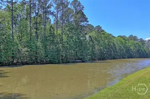 View/Area - 192 Willow Point Cir, Savannah, GA 31407 photo 1 of 2