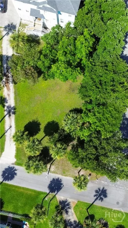 0 Chatham Ave, Tybee Island, GA 31328