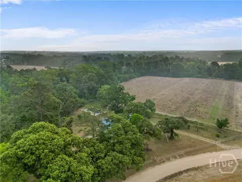 View/Area - 565 Bragg, Brooklet, GA 30415 photo 3 of 4