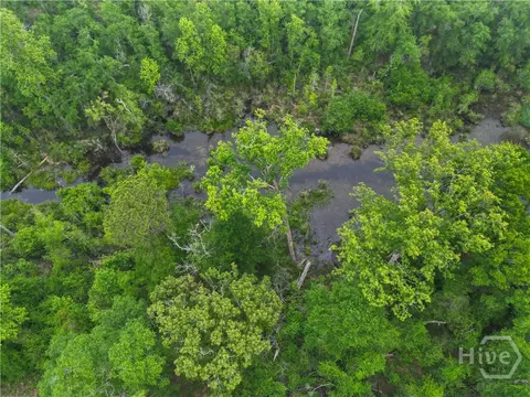 View/Area - 565 Bragg, Brooklet, GA 30415 photo 2 of 4