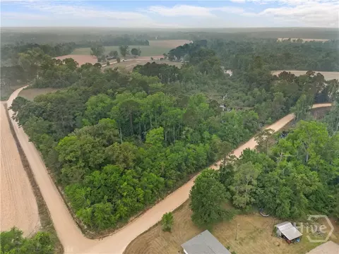 View/Area - 565 Bragg, Brooklet, GA 30415 photo 4 of 4