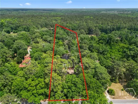 View/Area - 674 Dunlevie Rd, Allenhurst, GA 31301 photo 1 of 5