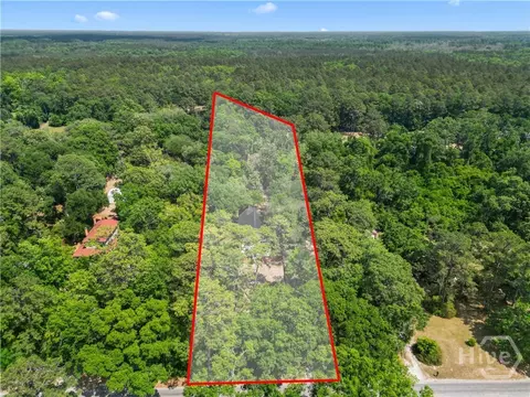 View/Area - 674 Dunlevie Rd, Allenhurst, GA 31301 photo 2 of 5