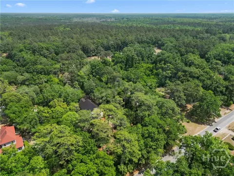 View/Area - 674 Dunlevie Rd, Allenhurst, GA 31301 photo 5 of 5