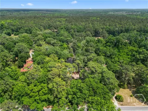 View/Area - 674 Dunlevie Rd, Allenhurst, GA 31301 photo 3 of 5