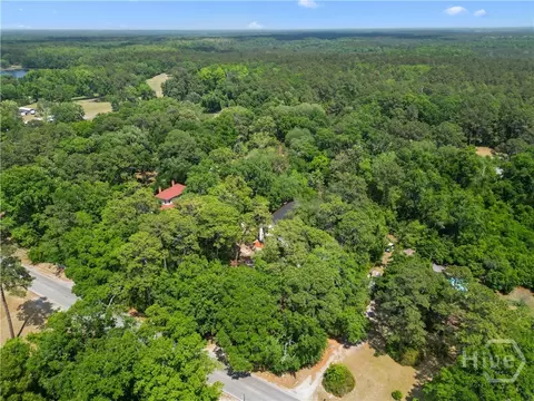 View/Area - 674 Dunlevie Rd, Allenhurst, GA 31301 photo 4 of 5