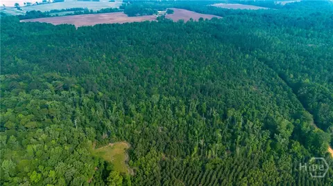 0 Fields Farm Rd, Millen, GA 30442 photo 11