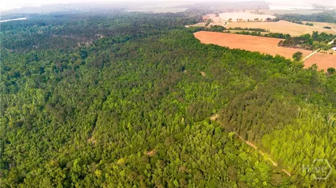 0 Fields Farm Rd, Millen, GA 30442 photo 5