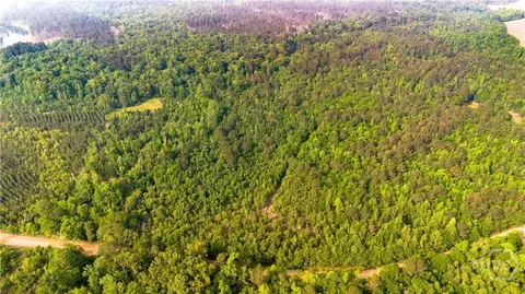 0 Fields Farm Rd, Millen, GA 30442 photo 3