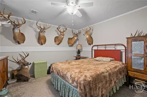 7589 Mud Rd, Brooklet, GA 30415 photo 28