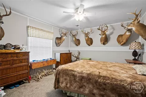 7589 Mud Rd, Brooklet, GA 30415 photo 29