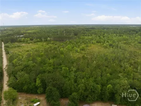 0 Williamson Rd, Allenhurst, GA 31301