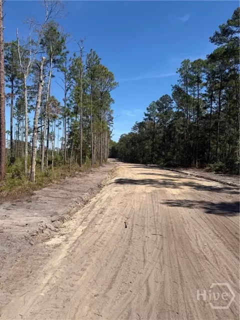 00 Old Dixie Hwy, Springfield, GA 31329 photo 5