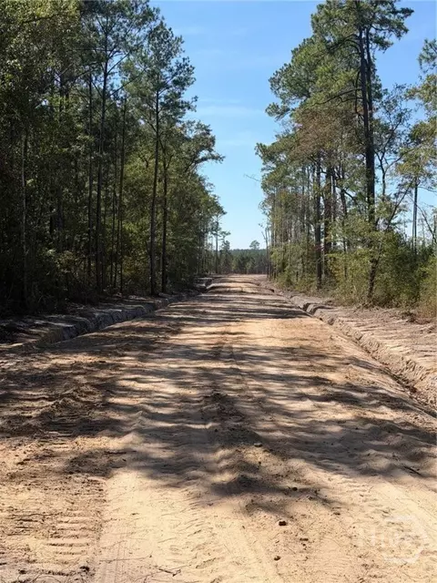 00 Old Dixie Hwy, Springfield, GA 31329 photo 3