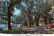 Other - 29 Cornus Dr, Savannah, GA 31406 photo 5 of 6