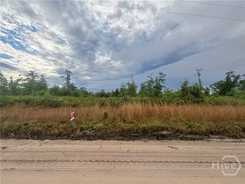 0 Riggs Ln, Claxton, GA 30417