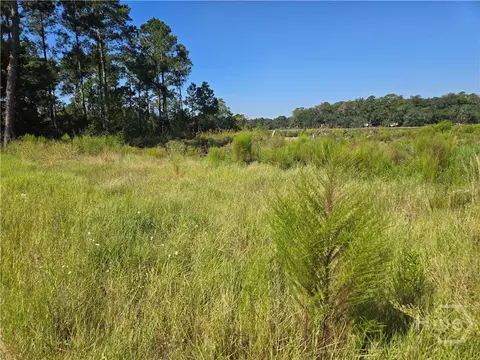 0 River Rd, Midway, GA 31320 photo 13