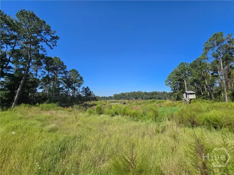 0 River Rd, Midway, GA 31320 photo 9