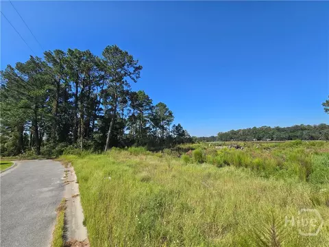 0 River Rd, Midway, GA 31320 photo 8