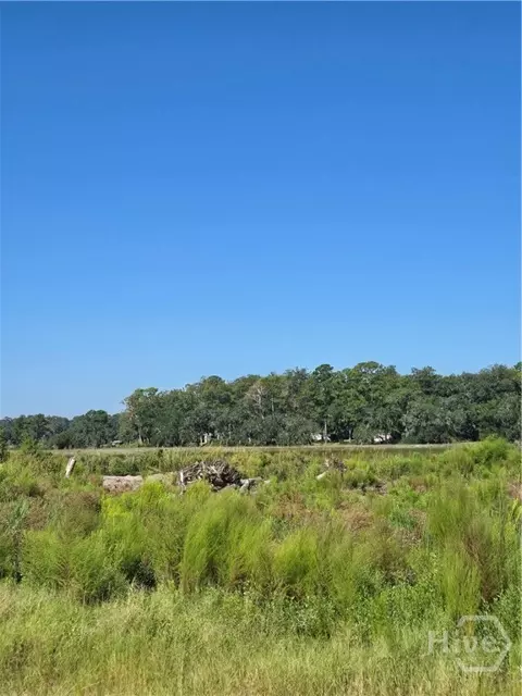 0 River Rd, Midway, GA 31320 photo 3
