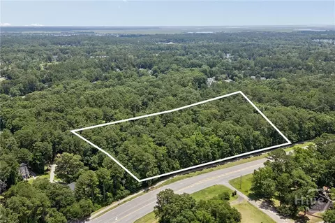 0 Harris Trail Rd, Richmond Hill, GA 31324