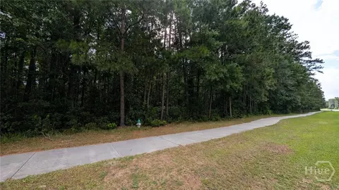 0 Harris Trail Rd, Richmond Hill, GA 31324