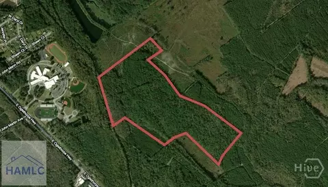 0 Mcintosh Lake Rd, Hinesville, GA 31313