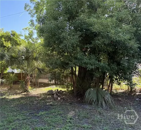 0 E 39th St, Savannah, GA 31401 photo 4