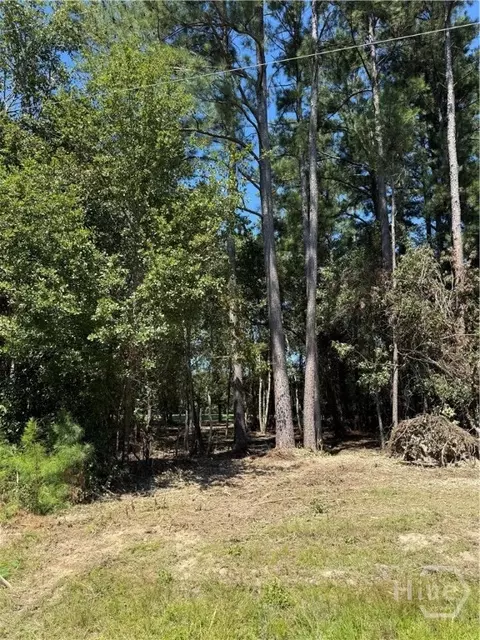 0 Friendship Rd, Sylvania, GA 30467