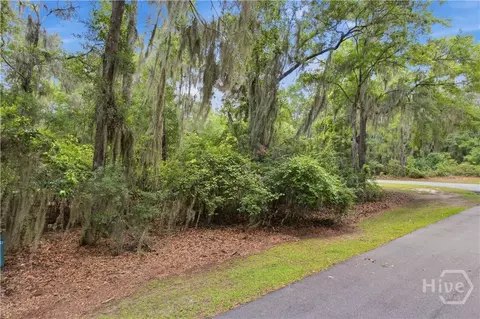 lot67 NE Delegal Dr, Townsend, GA 31331
