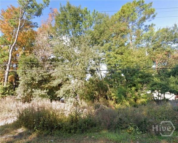 0 Johnny Mercer Blvd, Savannah, GA 31410