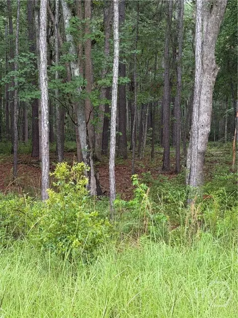 157 Wood Haven Ln, Pooler, GA 31322