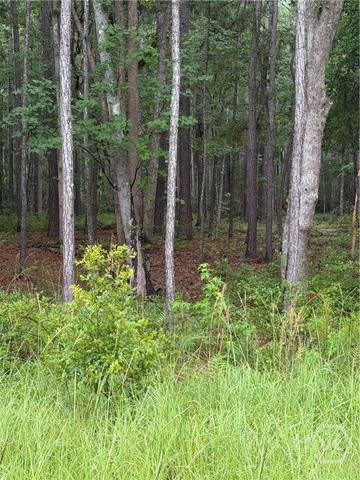 157 Wood Haven Ln, Pooler, GA 31322