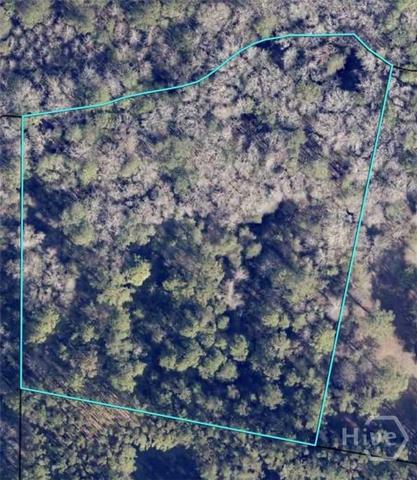 0 Honey Dew Ln, Brooklet, GA 30415