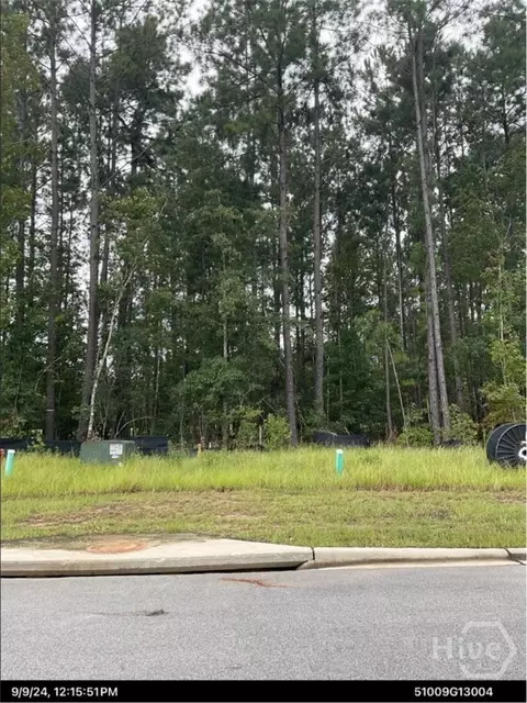 146 Tupelo St, Pooler, GA 31322 photo 8