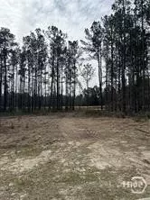 146 Tupelo St, Pooler, GA 31322 photo 3