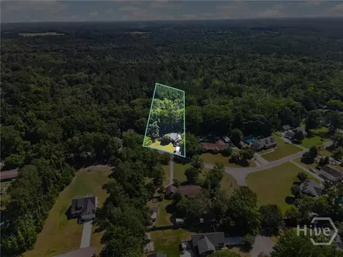 View/Area - 179 Hawk Hammock Dr, Springfield, GA 31329 photo 17 of 17