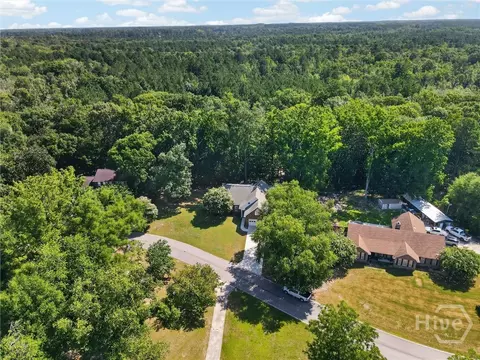 View/Area - 179 Hawk Hammock Dr, Springfield, GA 31329 photo 6 of 17