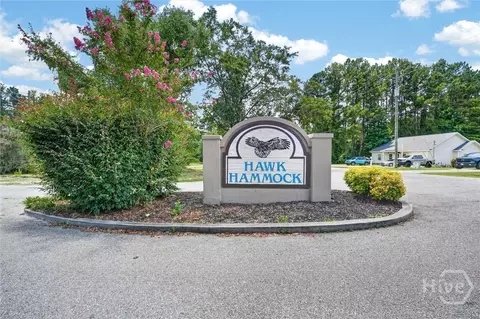 Other - 179 Hawk Hammock Dr, Springfield, GA 31329 photo 11 of 11