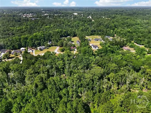 View/Area - 179 Hawk Hammock Dr, Springfield, GA 31329 photo 13 of 17