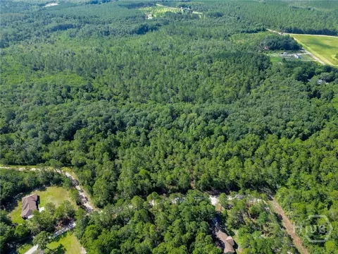 0 Davis Ct, Hinesville, GA 31313