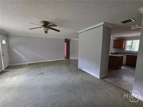 110 Bird Rd, Springfield, GA 31329 photo 8