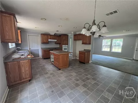 110 Bird Rd, Springfield, GA 31329 photo 10